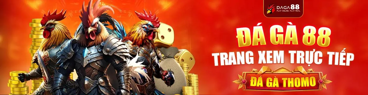 Đá Gà Trực Tuyến Hấp Dẫn tại mbet code